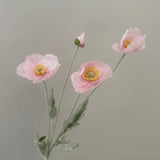 Poppy Light Pink