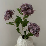 Hydrangea Purple (3 head)