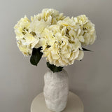 Hydrangea - Offwhite