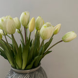 Tulip Bouquet