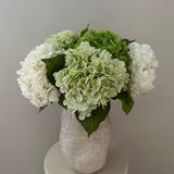 Hydrangea Bouquet