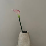 Calla pink