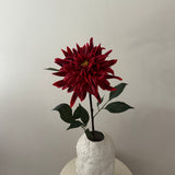 Dahlia Flower