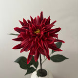 Dahlia Flower