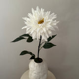 Dahlia White