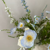 Blue Poppy Love